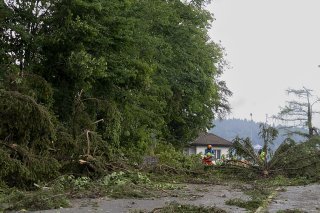 Il existe notamment un risque de chute d'arbres. (Image d'illustration)
